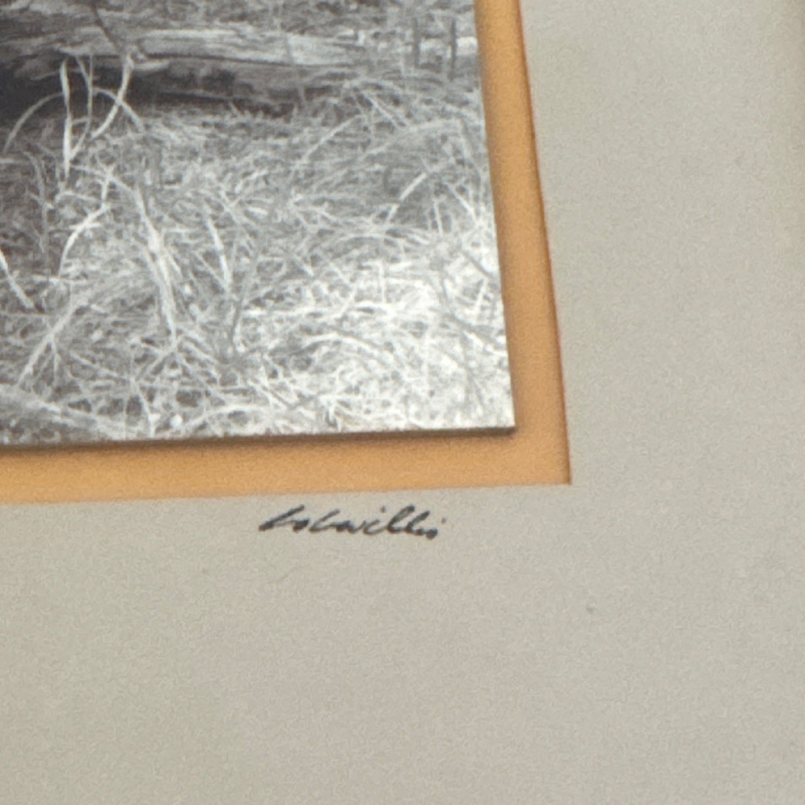 L. Willi Signed Black & White Photograph Forgotten Forest Framed Portrait Art