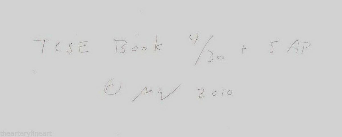MICHAEL WOLF: Tokyo Compression 2010 DELUXE 1st Edition Book w SIGNED Photograph