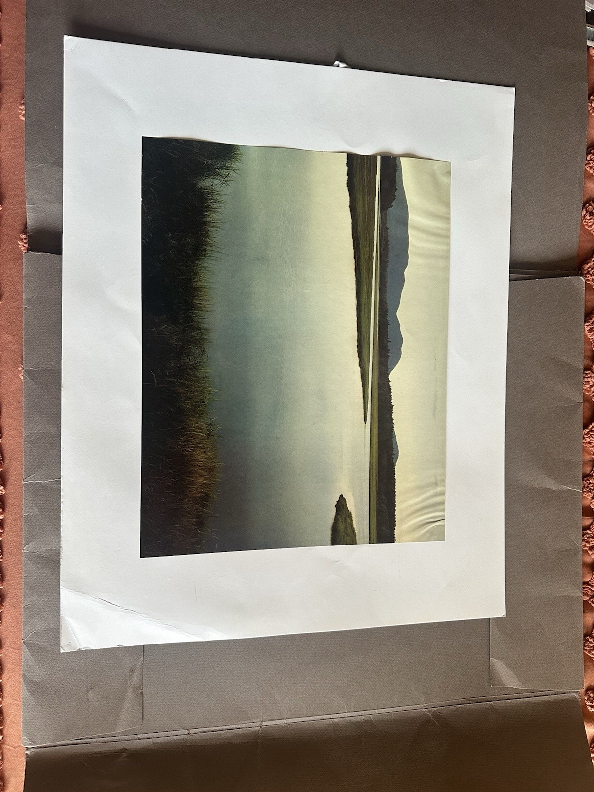 Vintage Eliot Porter Portraits Of Nature Portfolio
