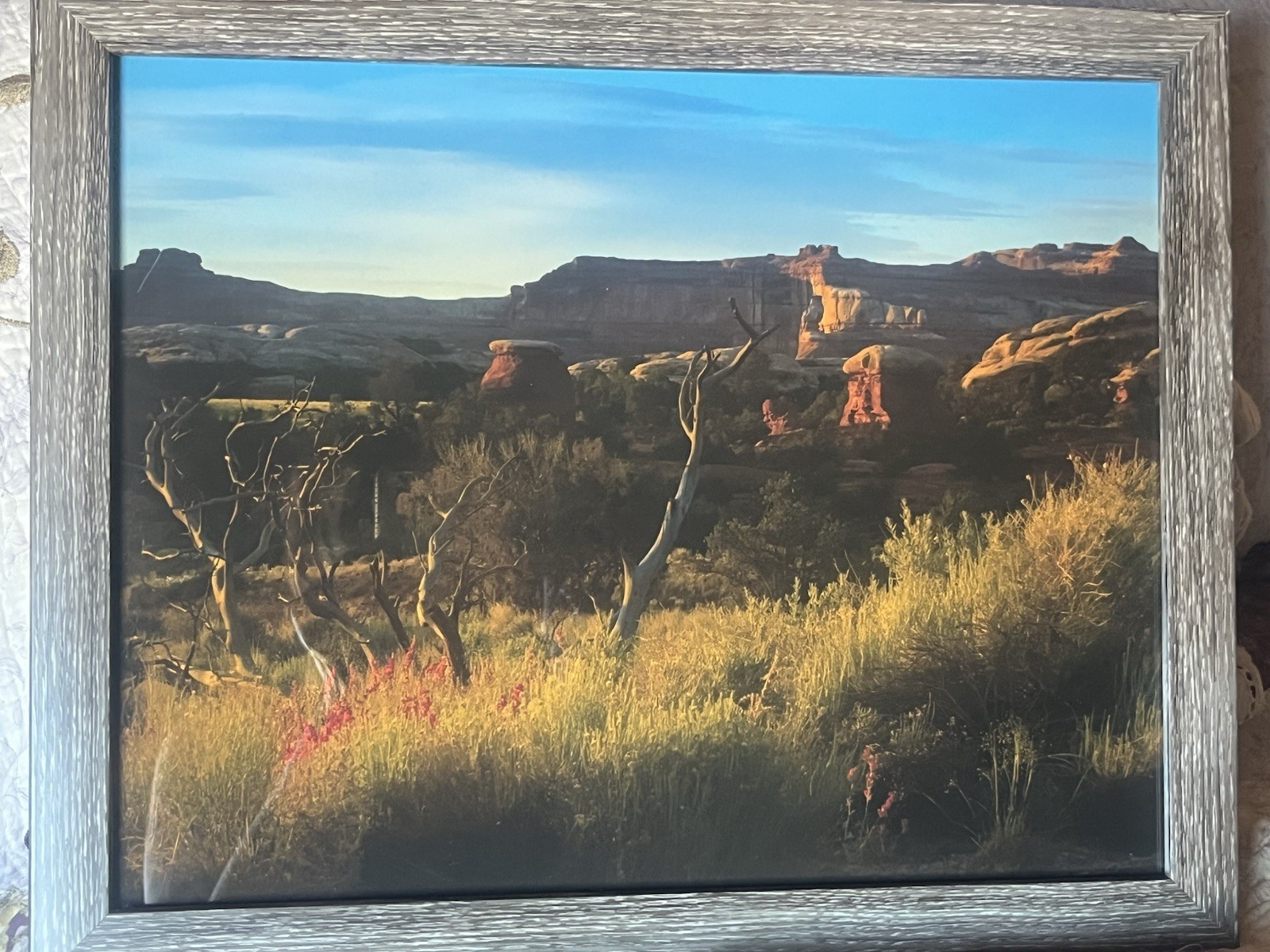 Photograph Of Desert In The Springtime Framed 15 1/2 X 12 1/2