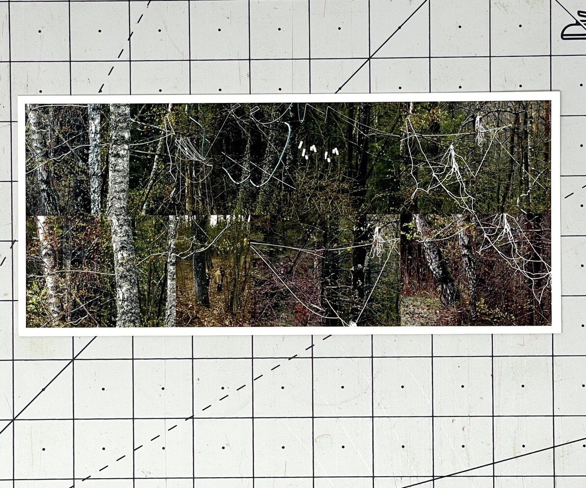 Susan Rankaitis (b. 1949) Art Announcement Card 2007 – Limbicwork