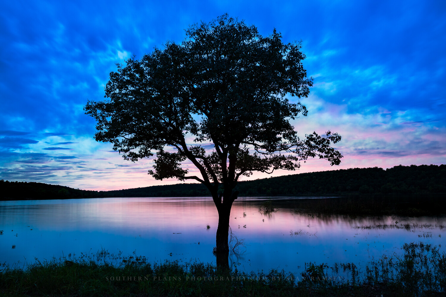 Nature Photography Print – Picture of Tree in Lake on Autumn Evening in Oklahoma