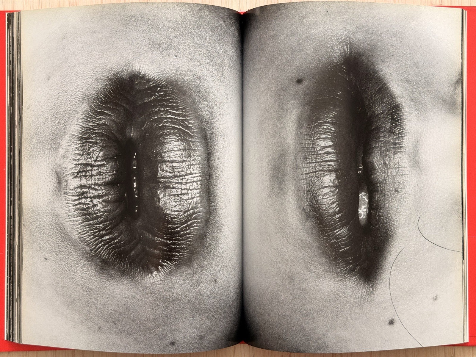 🎈SIGNED Nobuyoshi Araki – EROTOS, First Edition 1993, Japan, HC, LIBRO, SupRARE