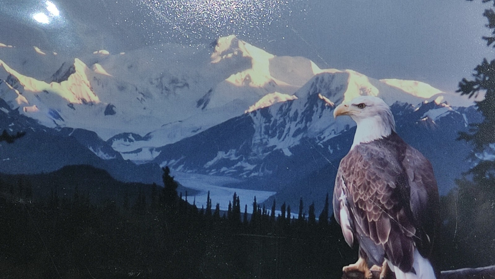 Original Photo Artwork American Bold Eagle Mountains Signed & Numbered by Artist
