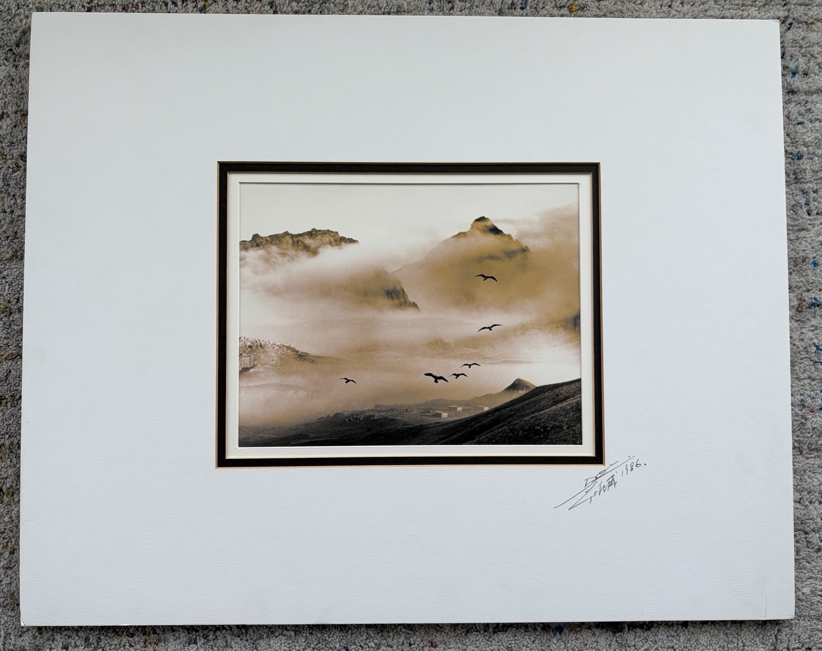 Don Hong Oai Birds in Flight Silver Gelatin Print Signed 1986 Matted Stamped