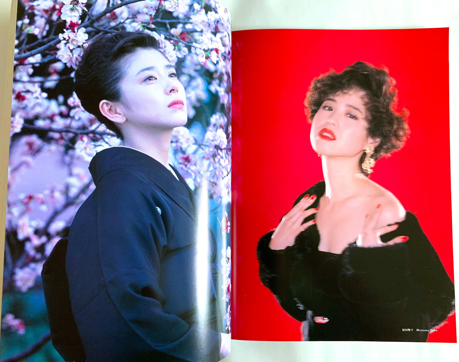 NOBUYOSHI ARAKI SPECIAL ISSUE deja-vu JAPAN PHOTOGRAPHY MAGAZINE 1991 Photo D02