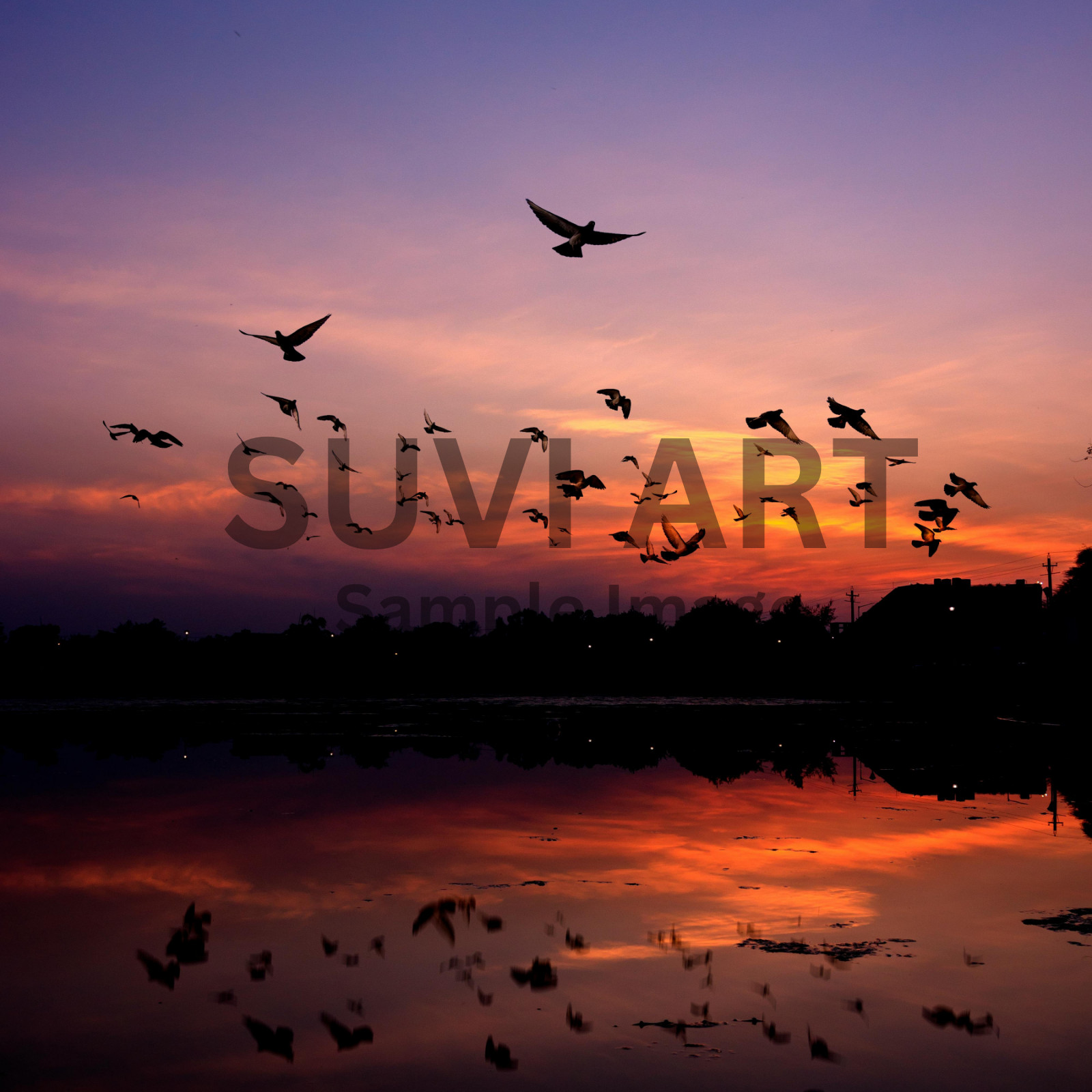 Digital Image Picture Photo Pic Wallpaper beautiful sunset with birds A-268