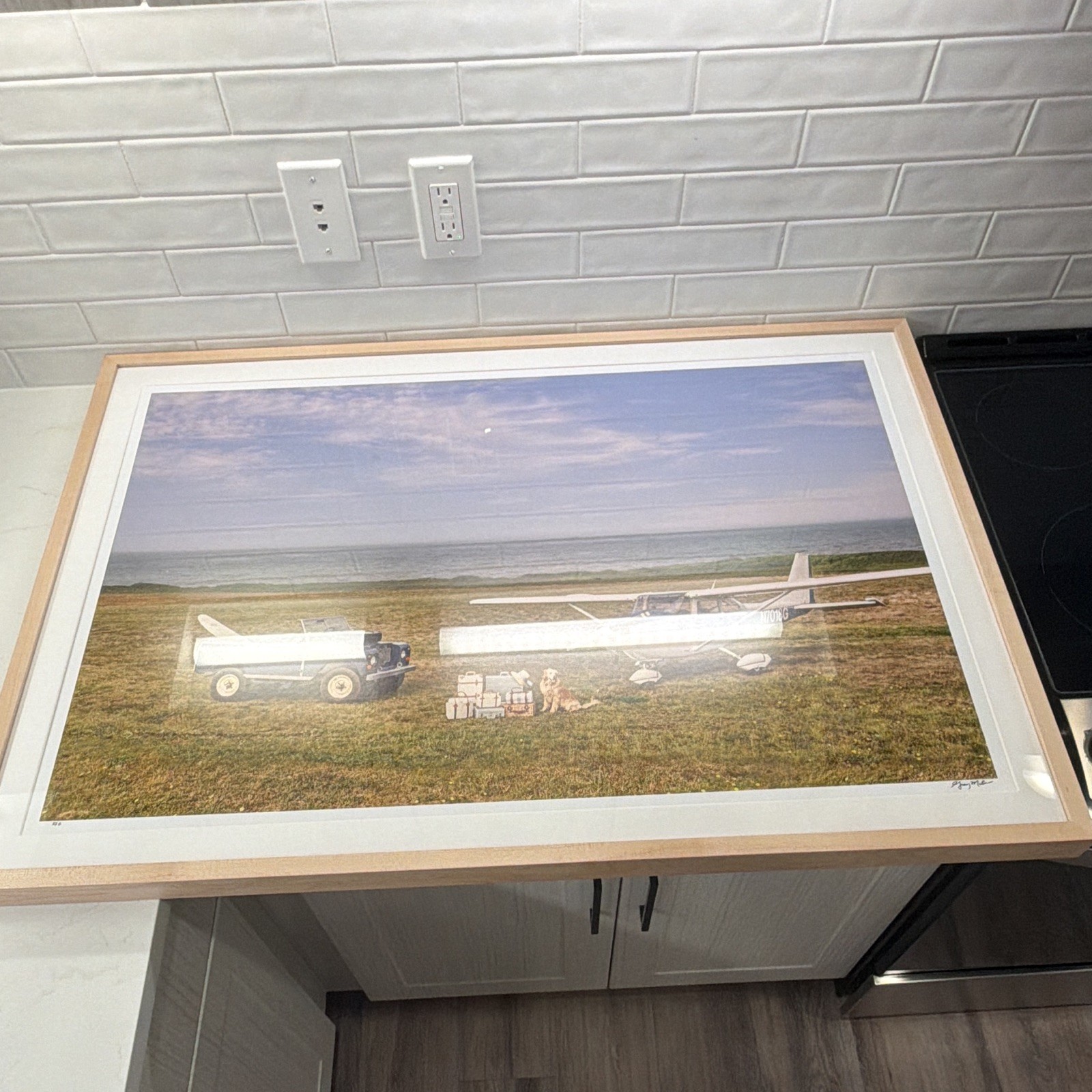 Gray Malin Signed and #6 Framed Matted Color Photo Airplane Vintage Autos Dog