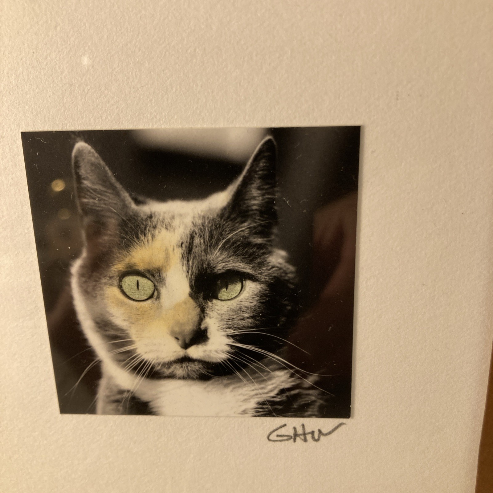 Calico Cat Portrait Soddered Copper Frame Photograph Miniature Artsy Tom Cat