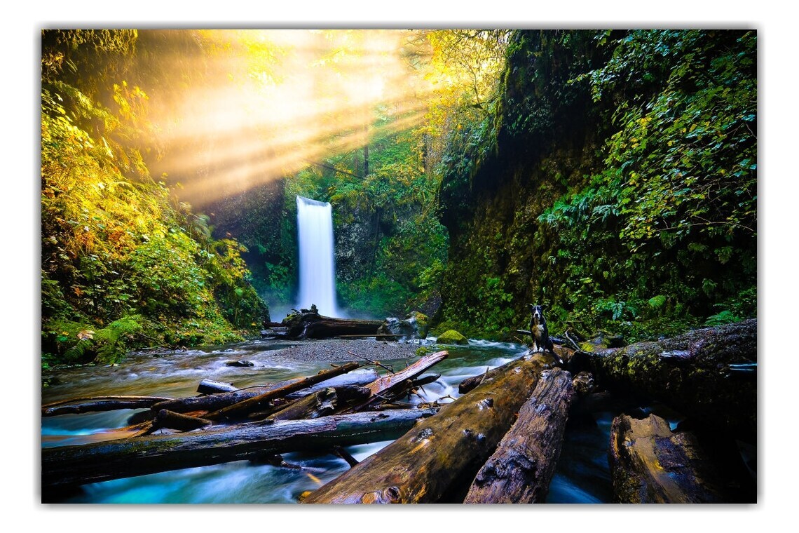 Wiesendanger Falls, Oregon Waterfalls, Columbia River Gorge, Pacific Northwest