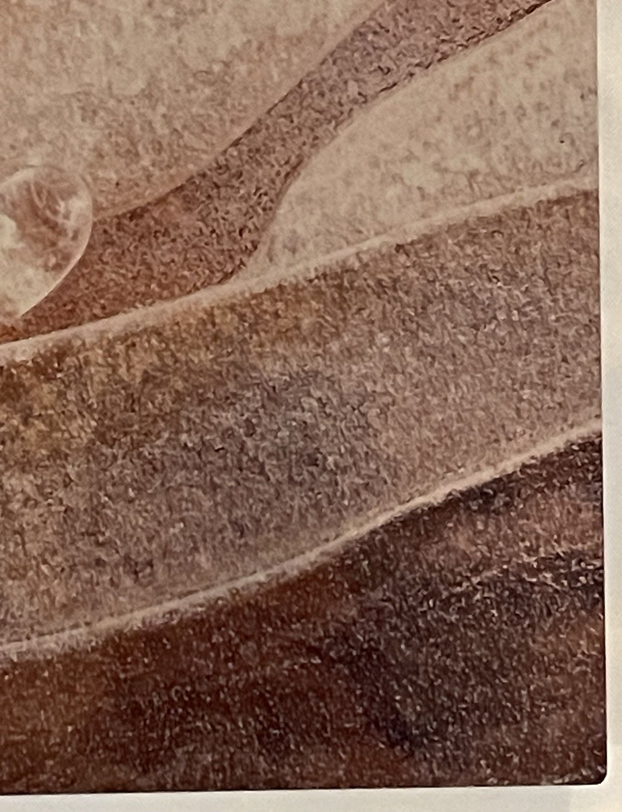Original Photograph On Metal Sedona,Arizona By Claudia Cooke