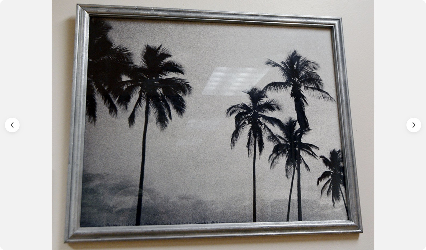 Tropicoco Palmas, Cuba, dyptych 16 x 20in Left/Right art photos, Mel Gonz, 2017