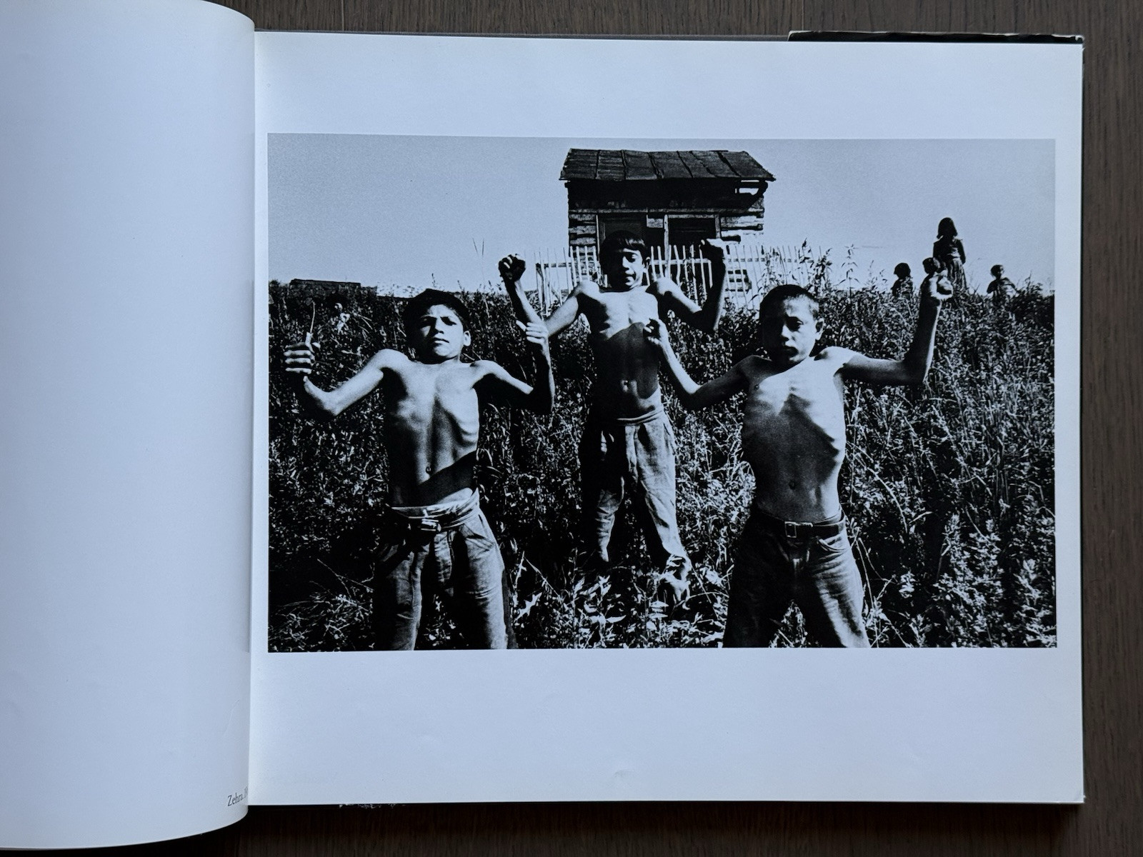 🎈Josef Koudelka – Gypsies 1975, Photography 1st Edition, HC, DJ, Super RARE!