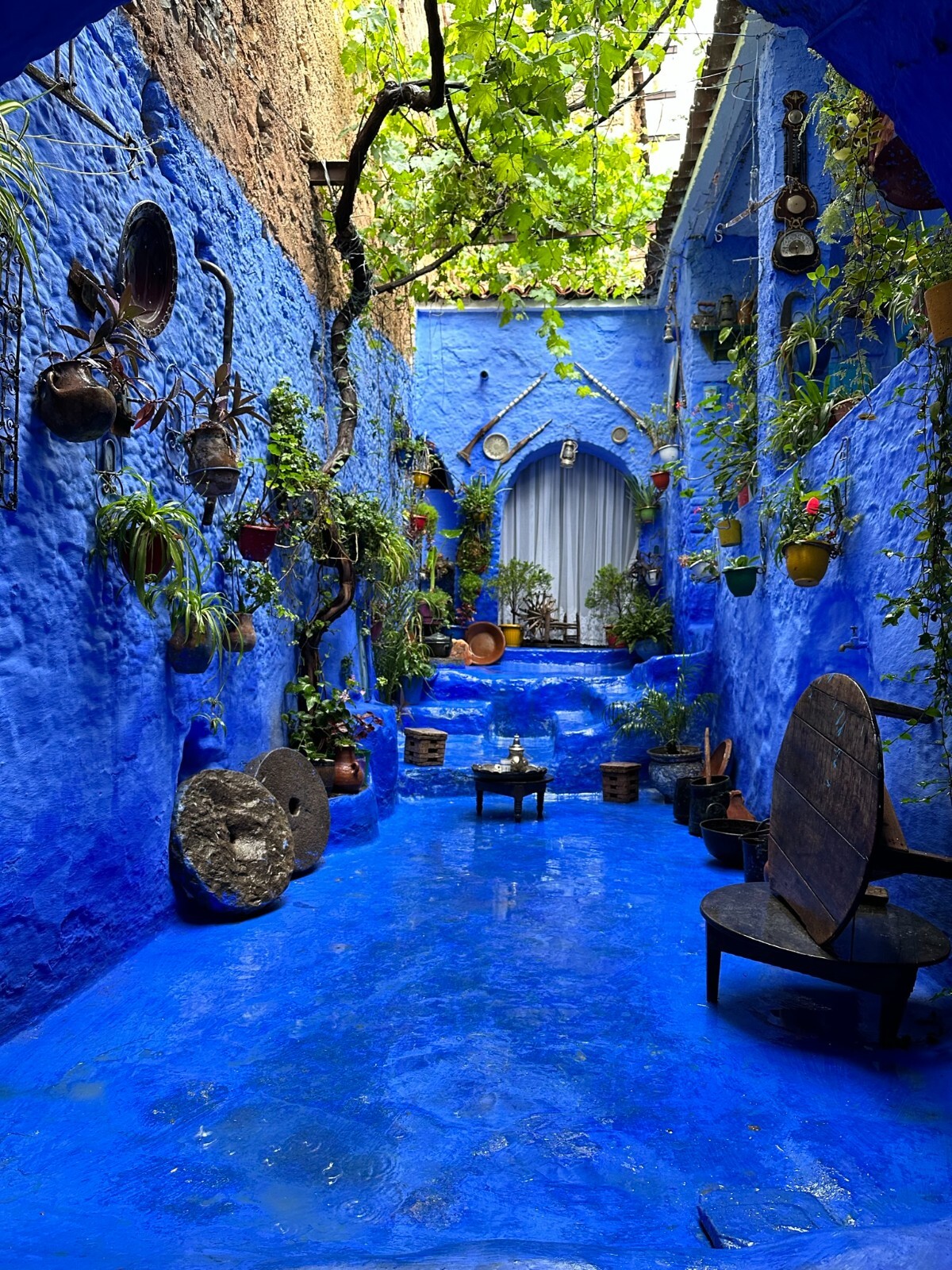 Beautiful Framed, Matted & Signed Photograph of Chefchaouen Morocco (Courtyard)