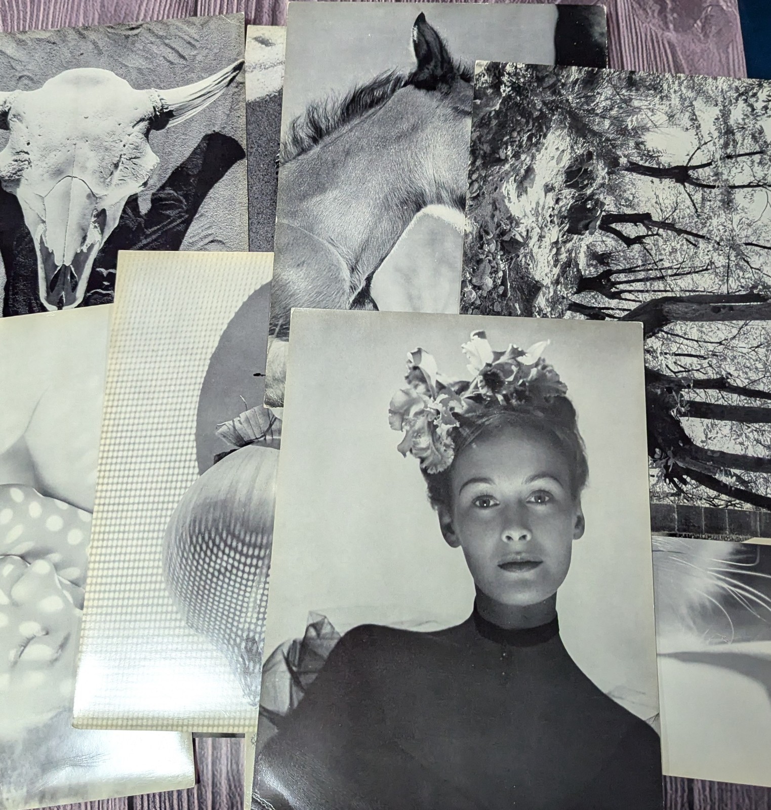 Werner Bischof – Portfolio of 24 Black & White Photographs – Scarce
