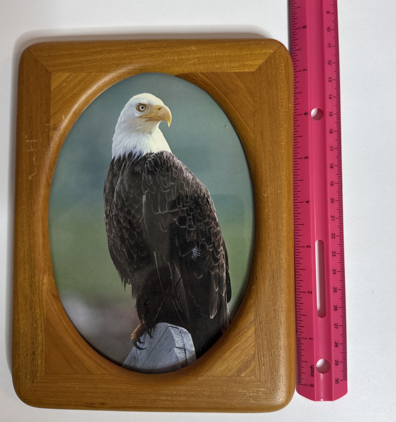 Wood Picture Frame 8×6 -Oval Opening- Bald Eagle Photo Rustic Decor