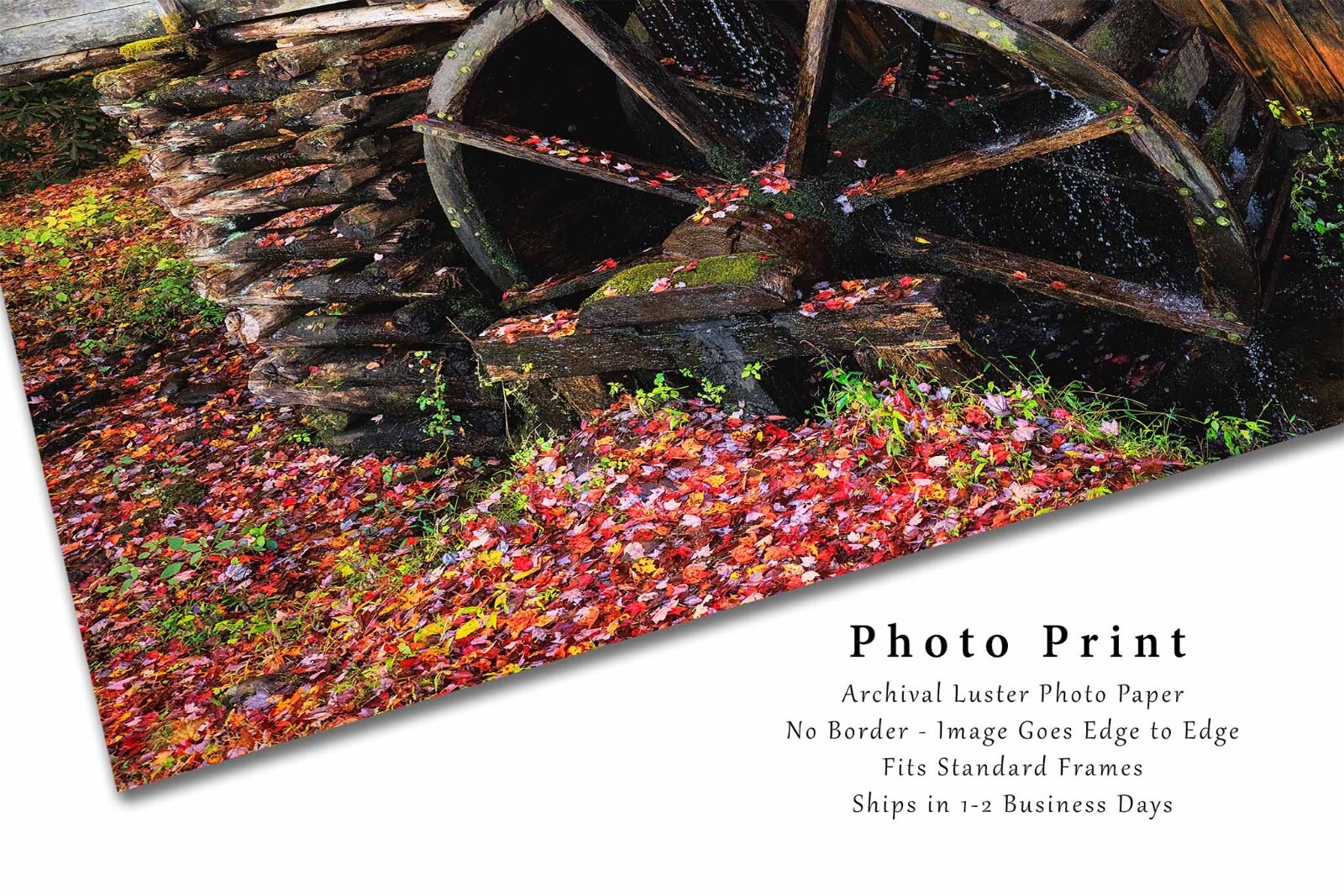 Rustic Country Photography Print – Picture of Old Mill Wheel in Tennessee