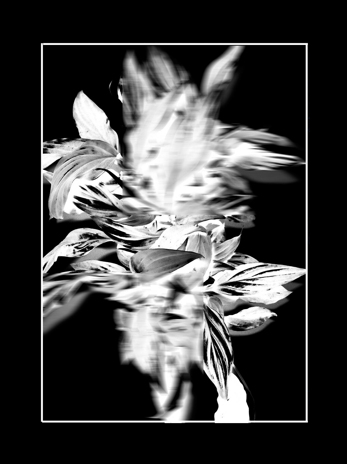 Author’s Photo – MOTHER NATURE ’21 Abstract in Black Passe-Partout 18x24cm