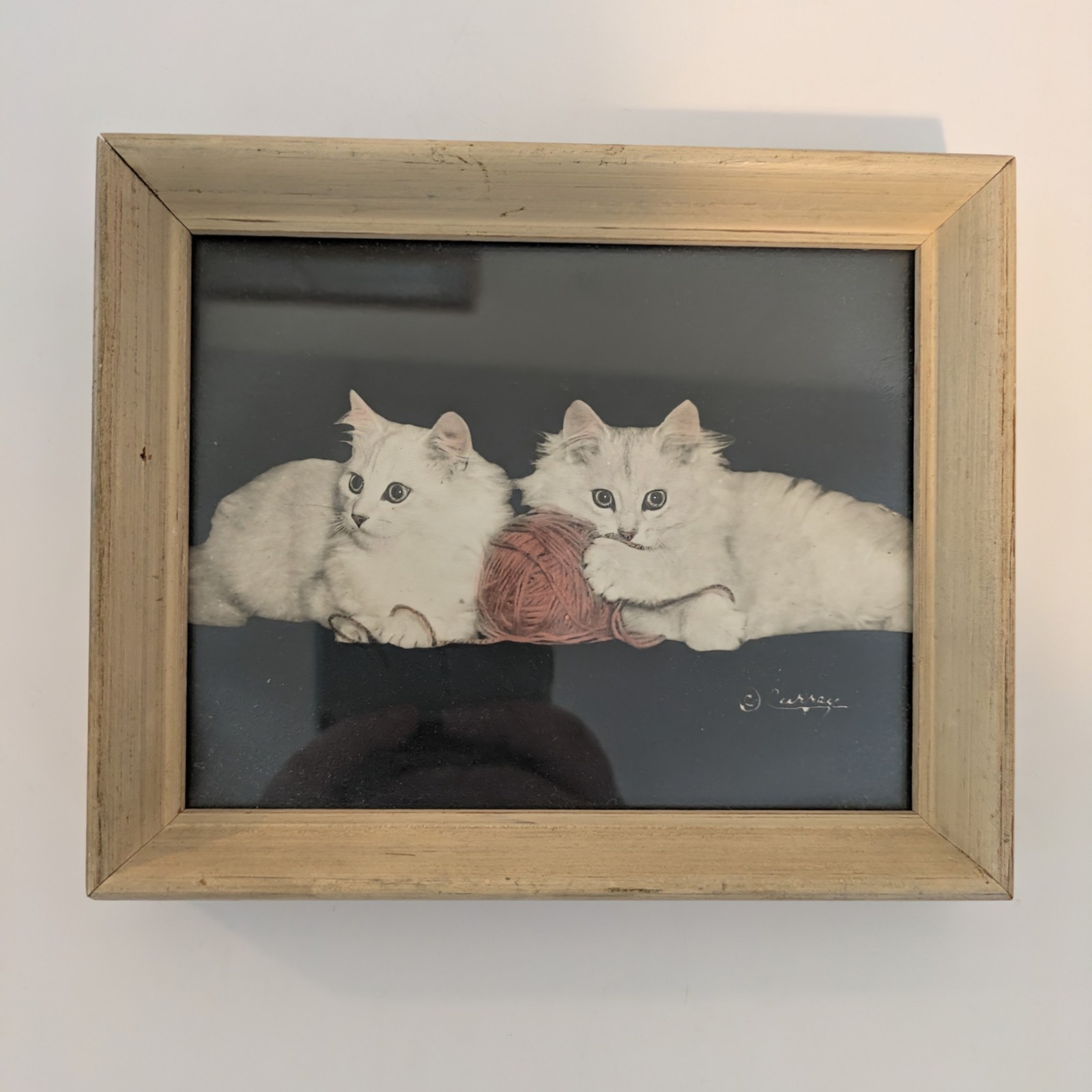 Bradley R Currey Cats Pictures Lot Of 6 White Cats 5.5″ X 4.5″ Piano Books Chair