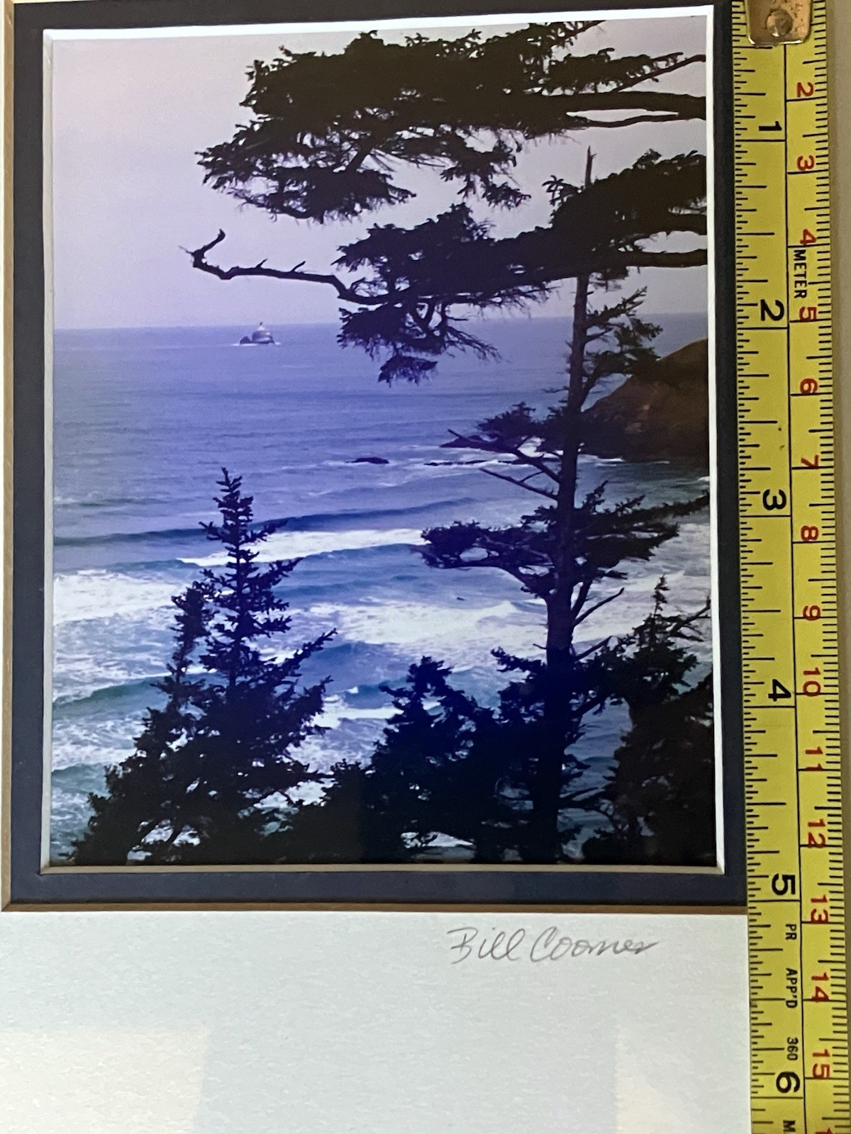 Oregon Coastal Photograph Ecola State Park Framed/ Matted Bill Coons 10 X 8 Inch