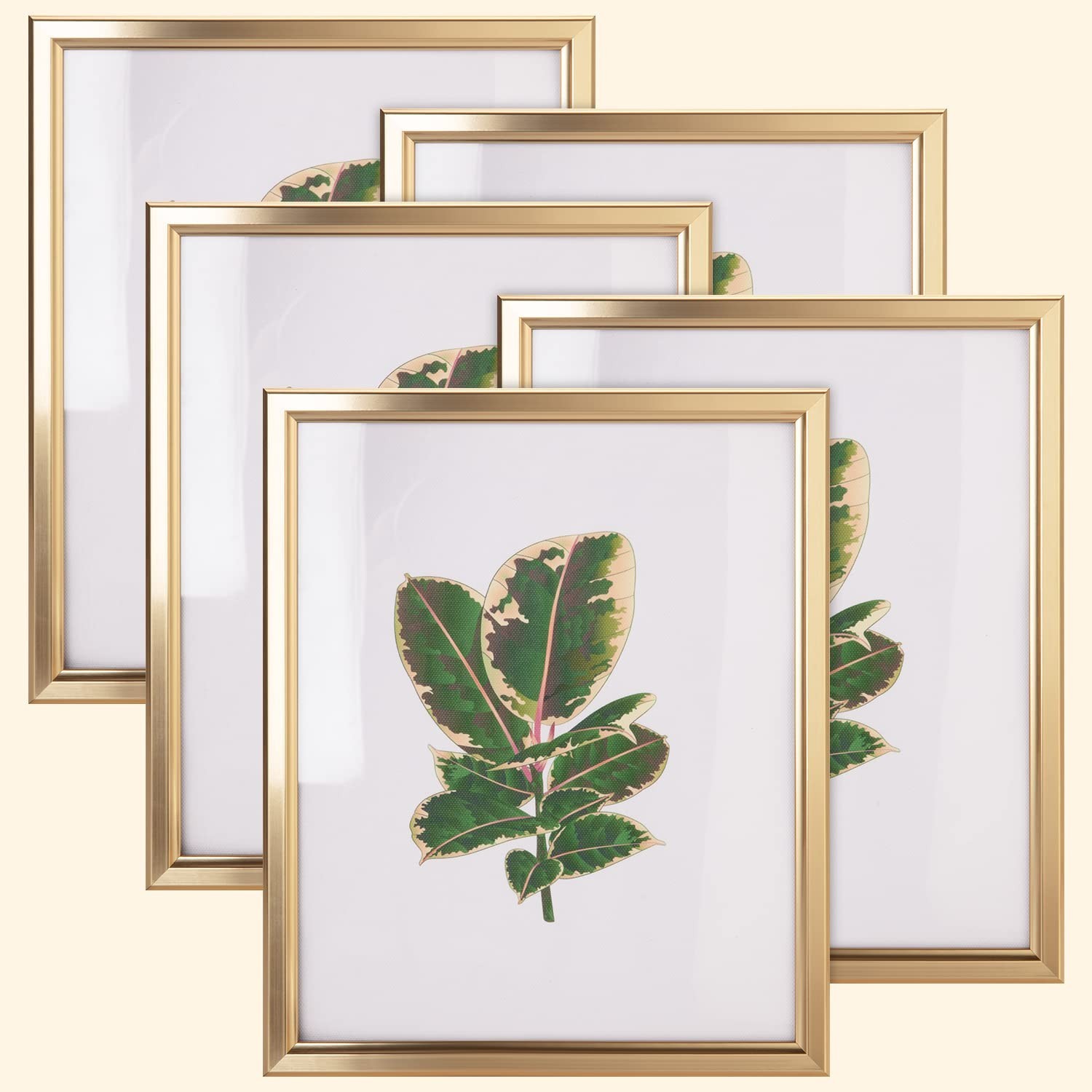 8×10 Picture Frame – Set of 5, Matte Gold 8 x 10 Photo Frame with High-Defini…