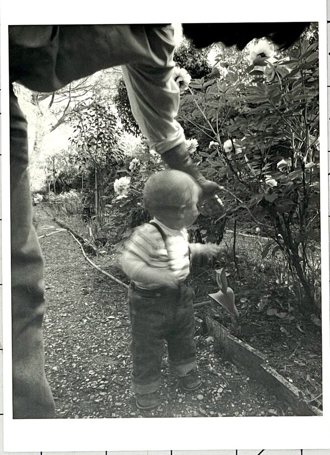 Doug Prince (b. 1943) Case In Flower Garden – 1983 Witkin Gallery Art Photo Card