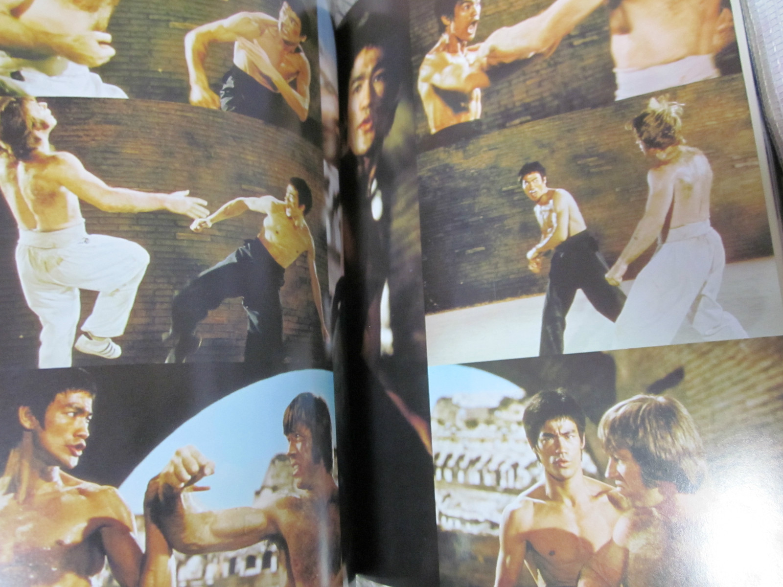 BRUCE LEE BOOK DRAGON FOREVER 1974 JAPAN by Koichi Hino 1st. edition