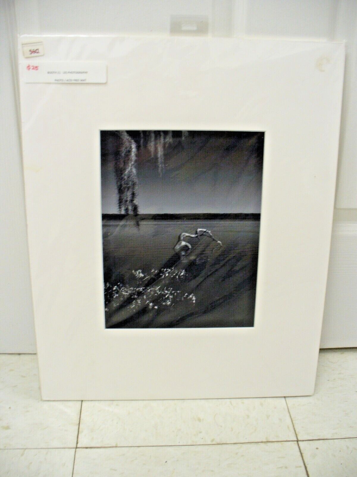 MATTED PHOTOGRAPHY Tree in Lake Nature Water B&W Acid Free 16×20