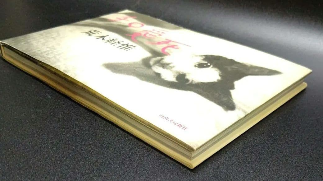 Nobuyoshi Araki Cat Chiro Aishi Hardcover 2013 Book