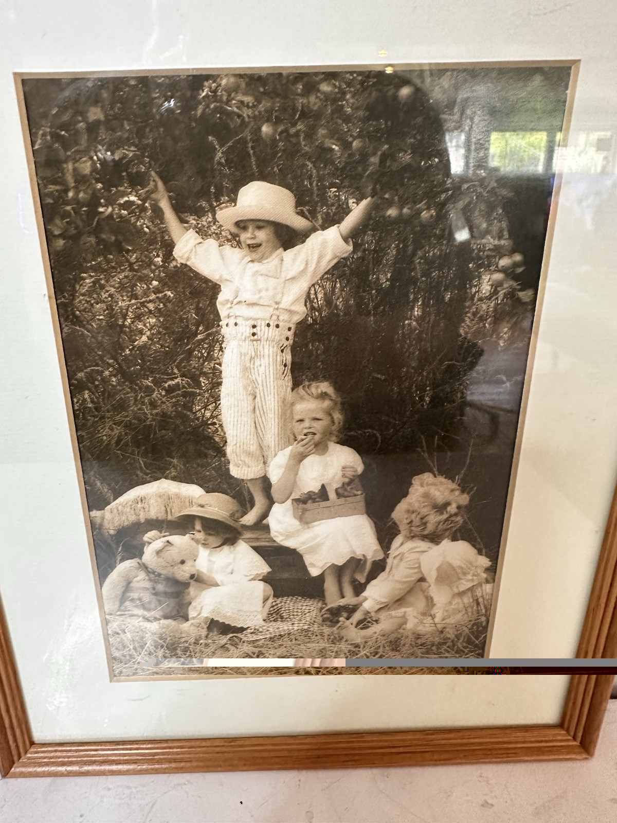 VINTAGE FRAMED Artist Photo Iain McKell FRUITS OF SUMMER 1980’S