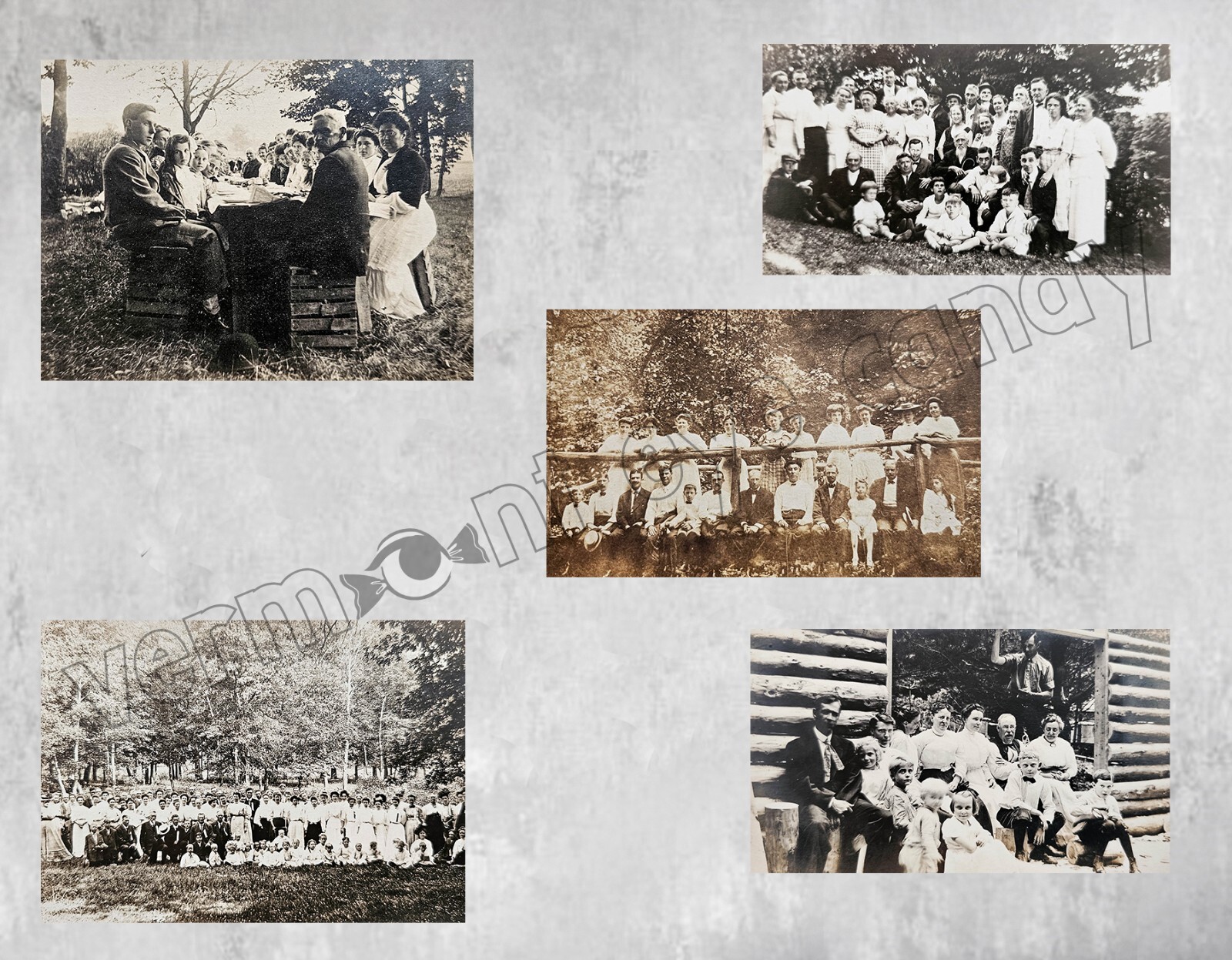 Antique Photos Set of 5 of Family Reunions in the Outdoors DIGITAL DOWNLOAD