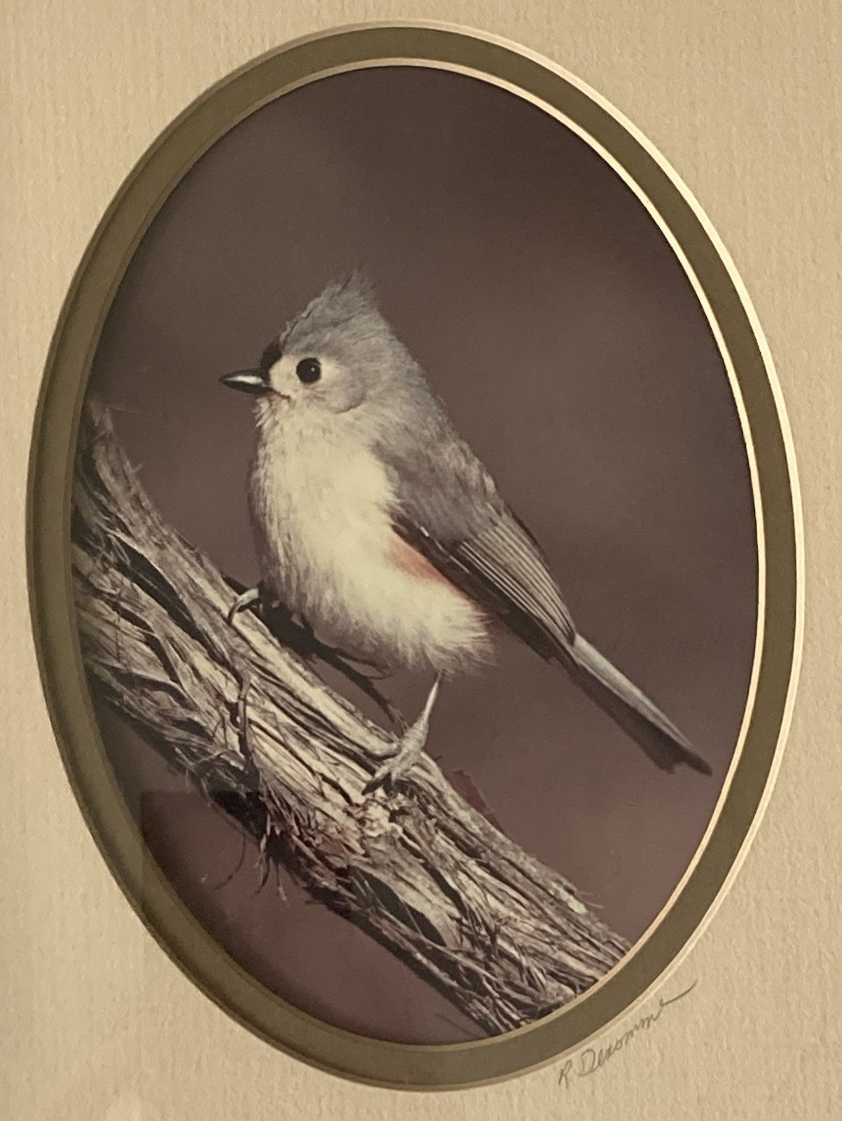Rick Denomme Bird Photography Set of 4 Framed Cardinal Chickadee Titmouse Signed