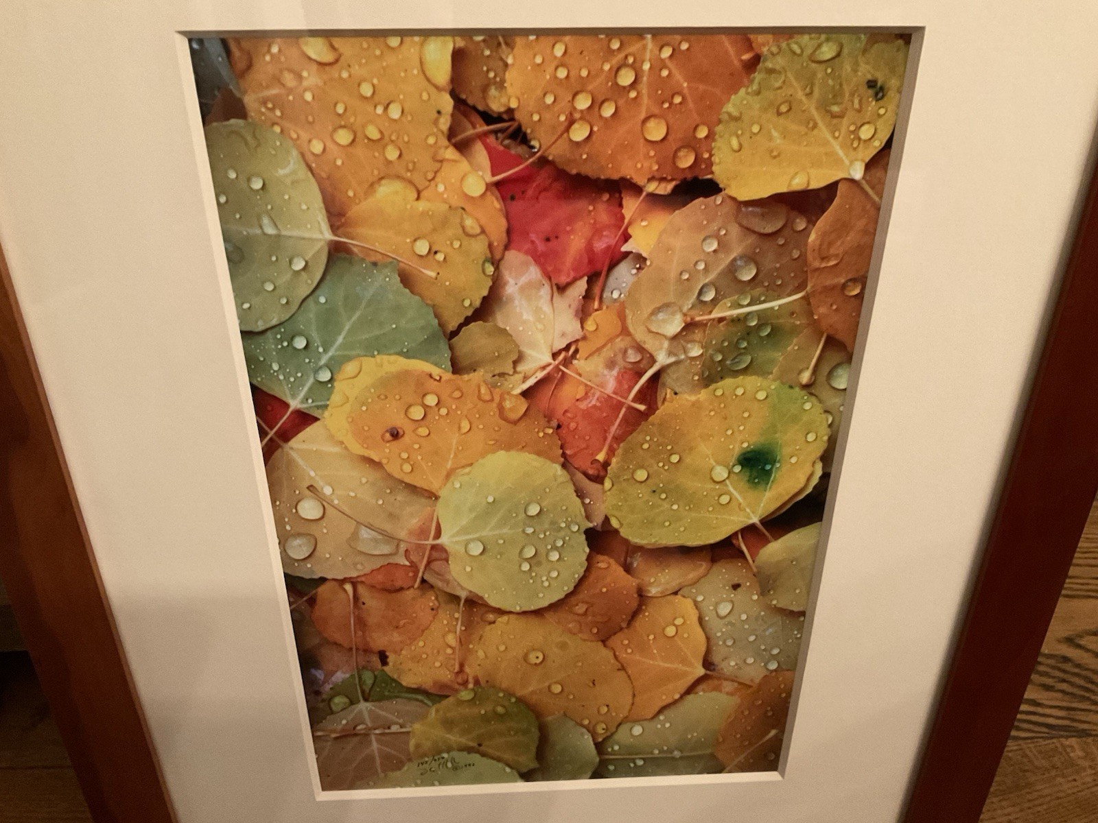 David Whitten Aspen Leaves, Utah 145/250 Signed & Framed