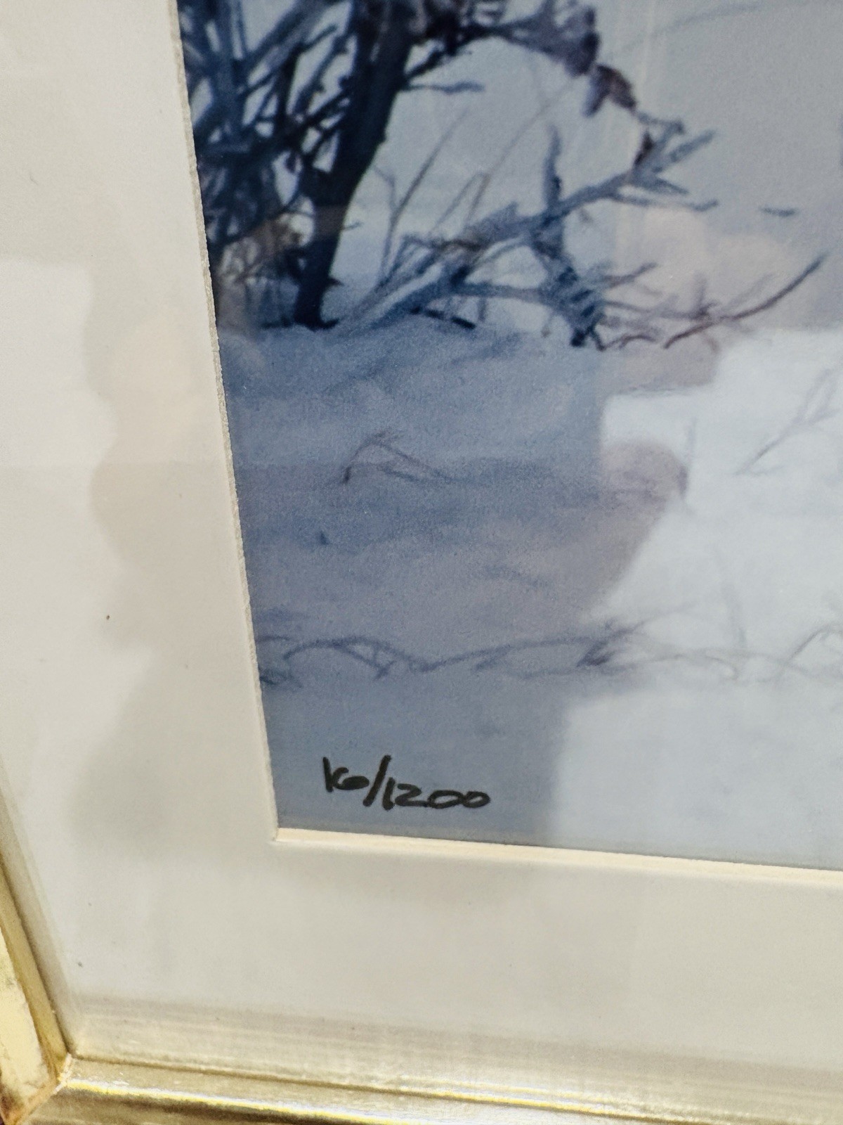 Mike Kelly Framed Limited Edition Photograph Polar Bears in Snow Signed 16/1200