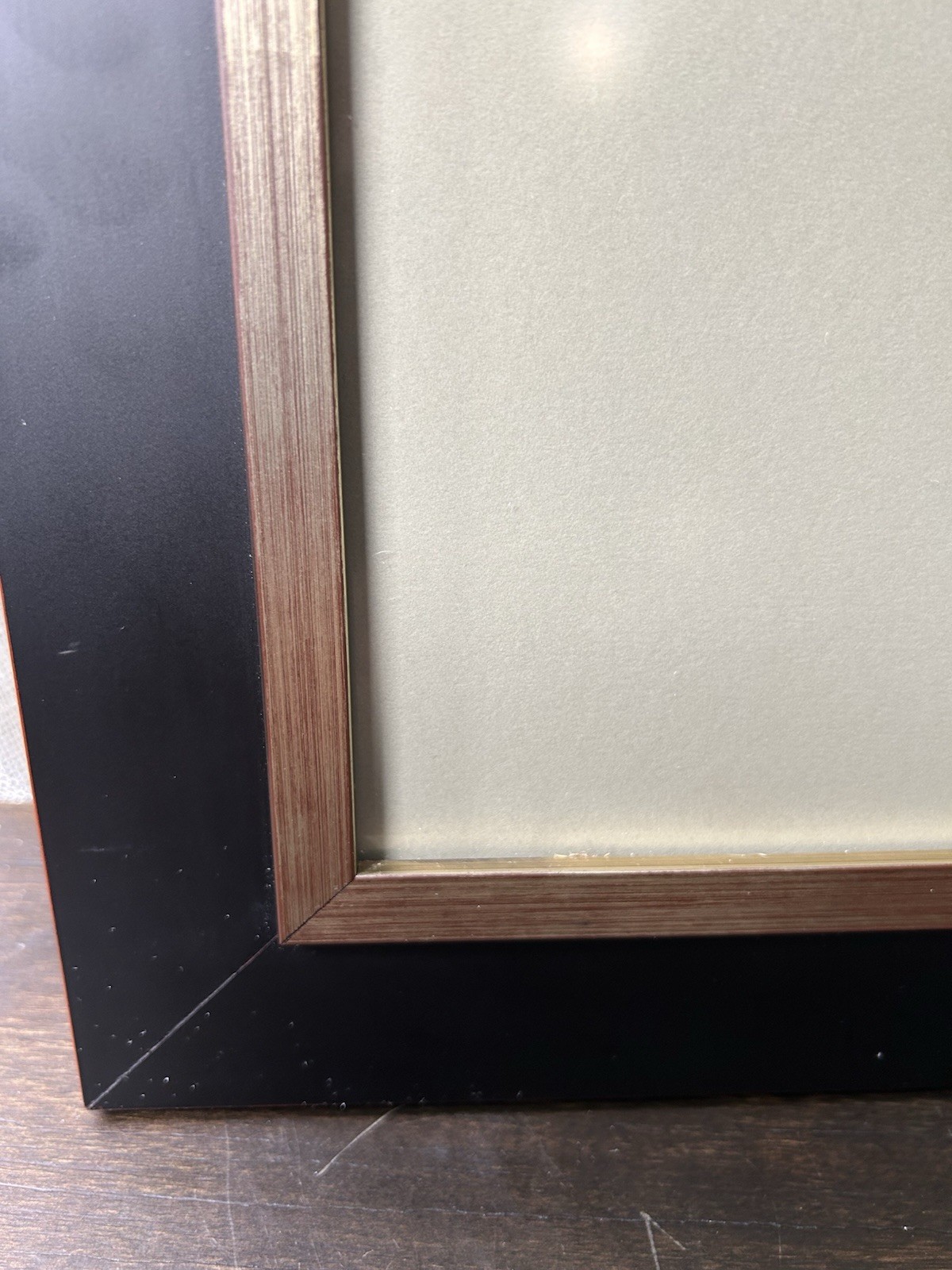 Original Photograph Black Cat Koi Pond Signed Framed Matted Truguard UV Guard