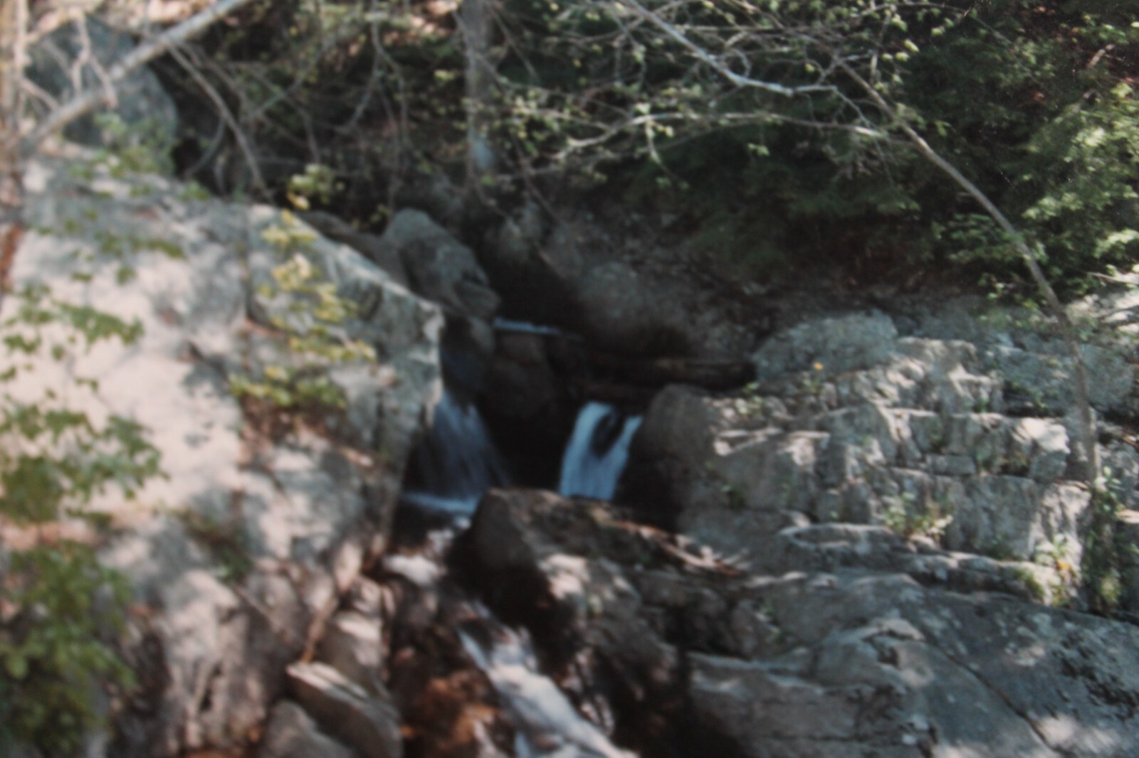 Vintage 8×10 Photo W. Beebe East Tennessee Mountain Stream