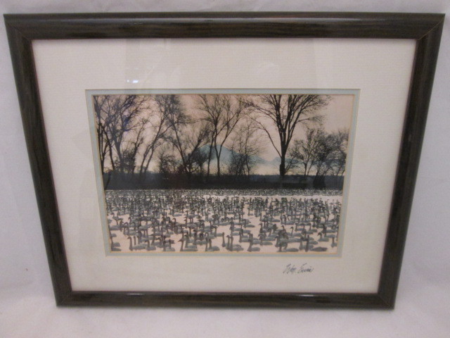 Natural Imagery Signed Photograh by William Ervin “A Gathering of Swans” Framed