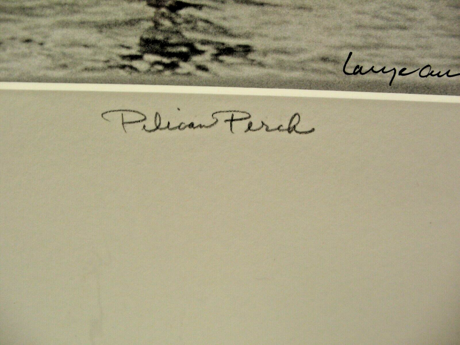 ART PHOTOGRAPHY 16×20 Pelican Perch B&W A/P Matte Acid Free by Larry Santucci