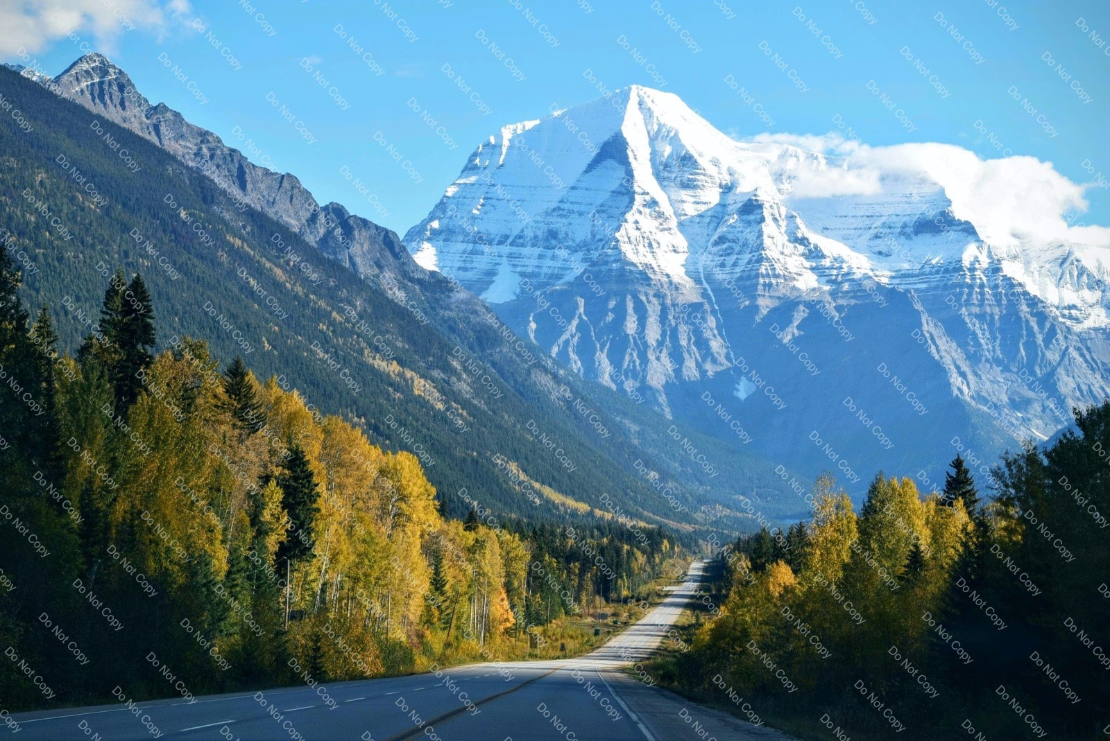 Digital Photo Image Wallpaper Background