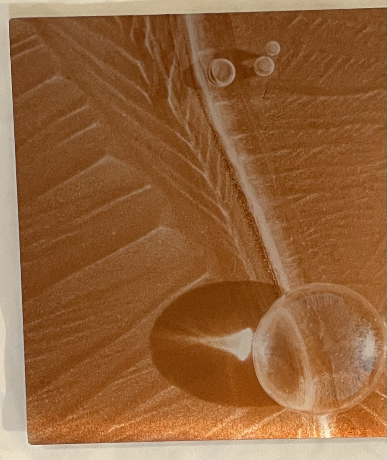 Original Photograph On Metal Sedona,Arizona By Claudia Cooke