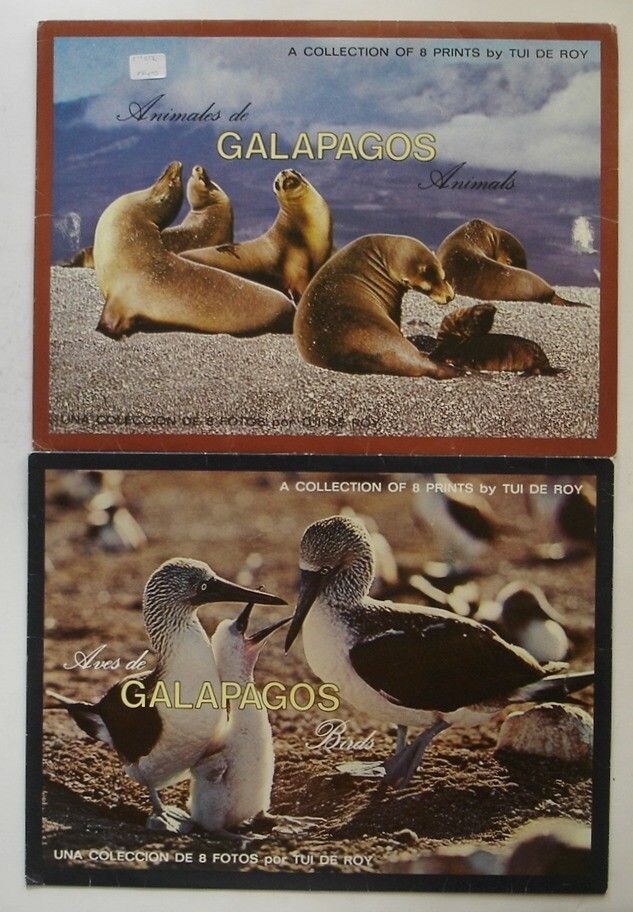 Tui De Roy Moore, Galapagos Animals/Birds, 16 Total Prints