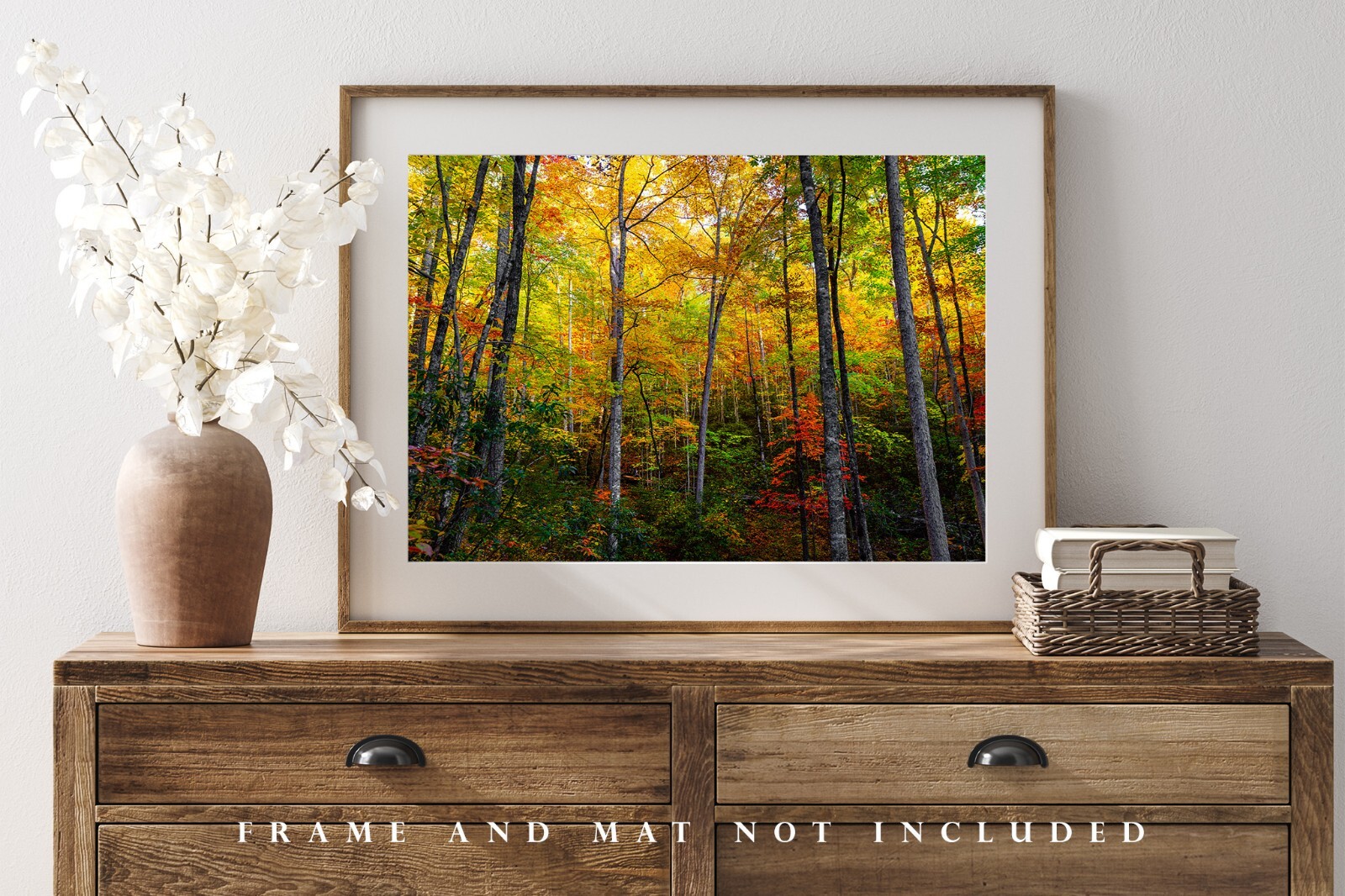 Trees with Fall Color in Great Smoky Mountains Tennessee Photography Print