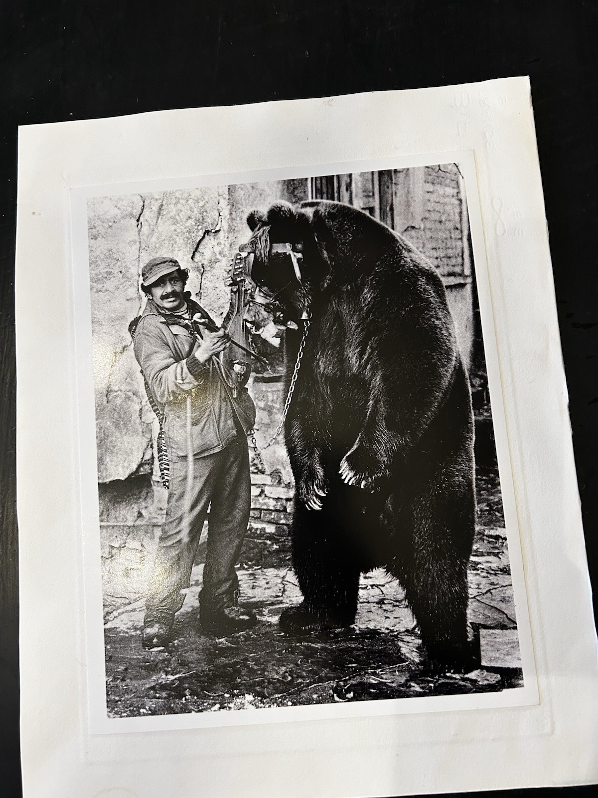 Jacko Vassilev-Silver Gel Print-Award Winning Photographer-“Dancing Bear” SIGNED