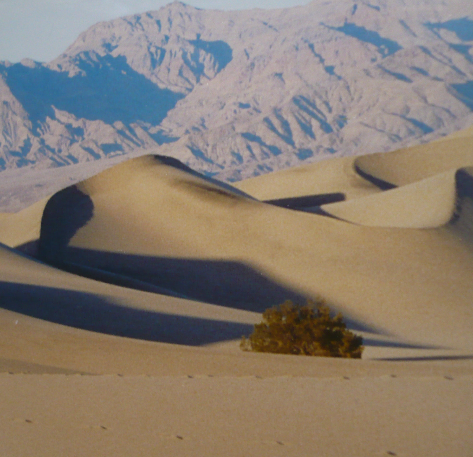 DESERT VALLEY DUNES LAURA FEASTER, CA DESERT PHOTOGRAPH DEATH VALLEY CALIFORNIA