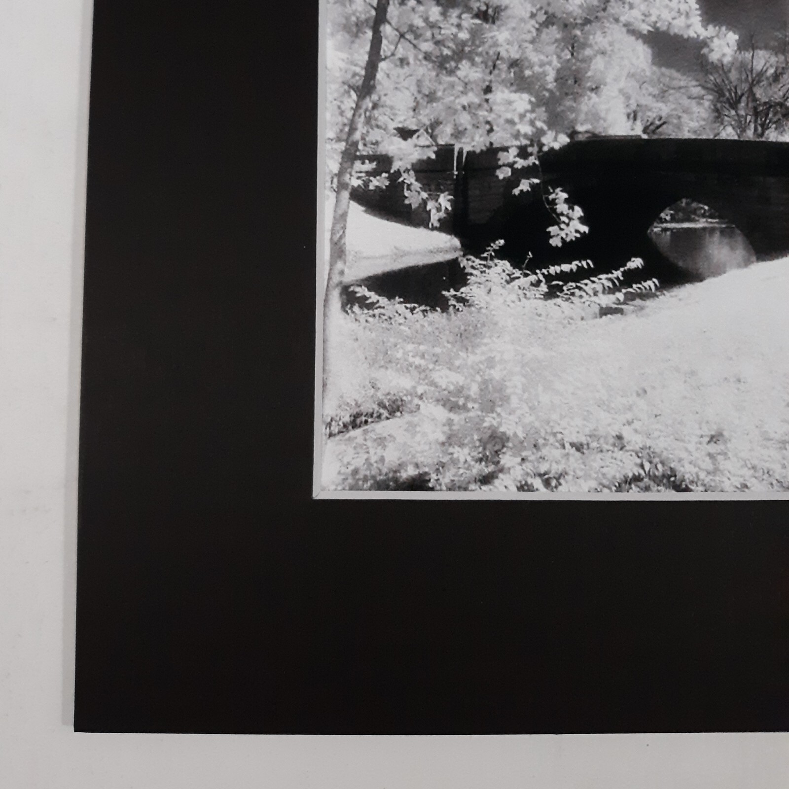 Black Mat Photo Landscape Park Infrared Photography Bridge Trees Art Print