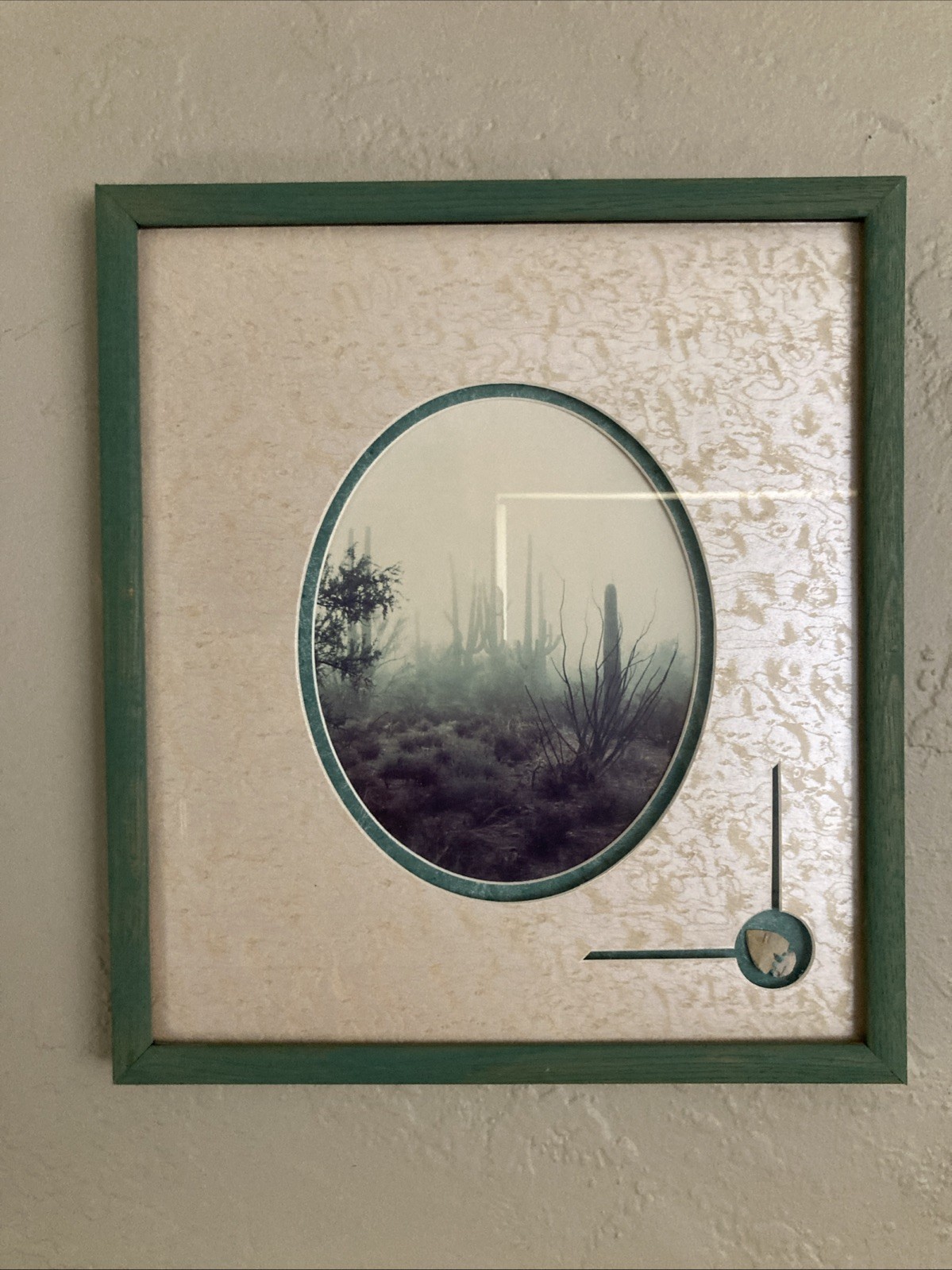 Vintage Original Photography Print Southwestern Saguaro Desert Misty Morning