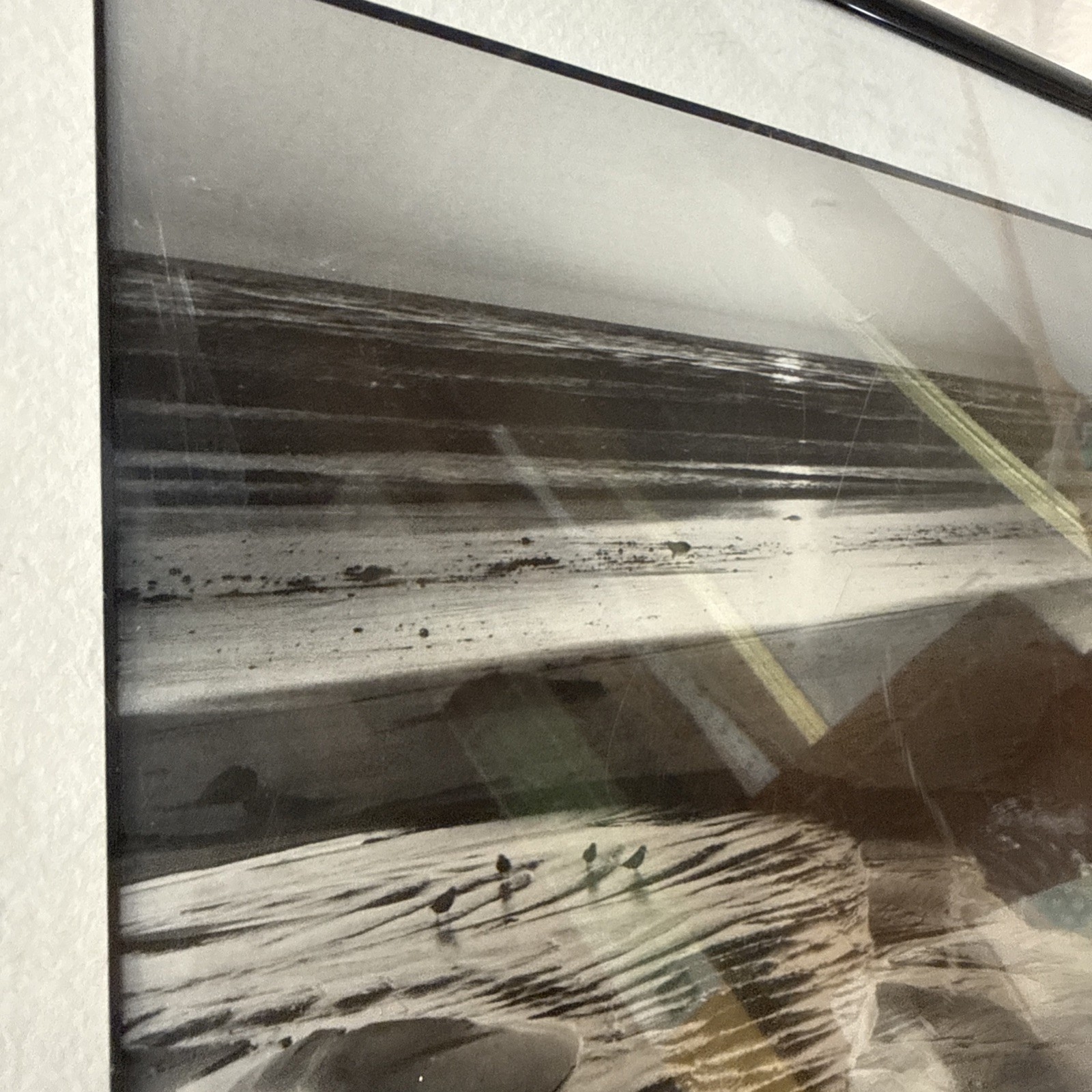Ansel Adams Birds on a Beach Evening Framed Framed 1966 Photo 12×14 Wall Art VTG