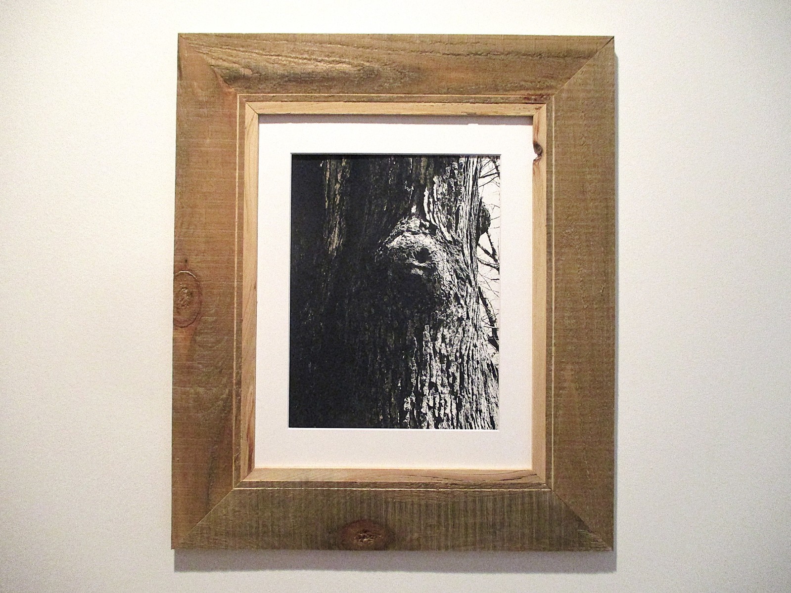 fine art black and white photographs north woods strange