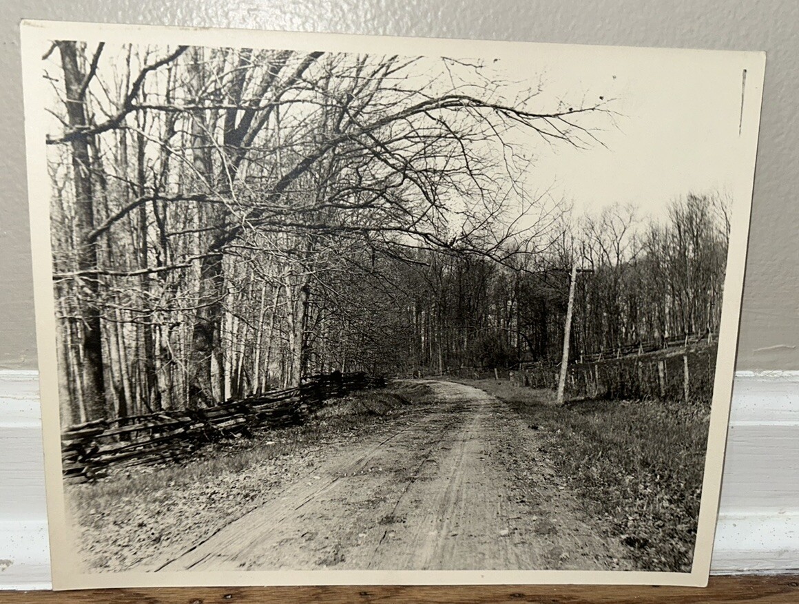 Arthur Gray Standard Oil Photographer Cleveland Ohio Americana Forrest Landscape