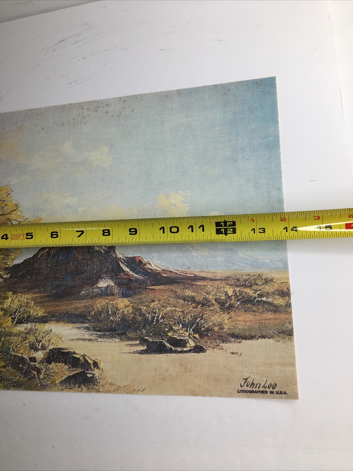 Vintage MCM Art Treasures Inc John Loo Nature Lithograph on Canvas Unframed G3